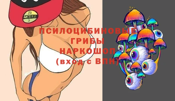 индика Балабаново